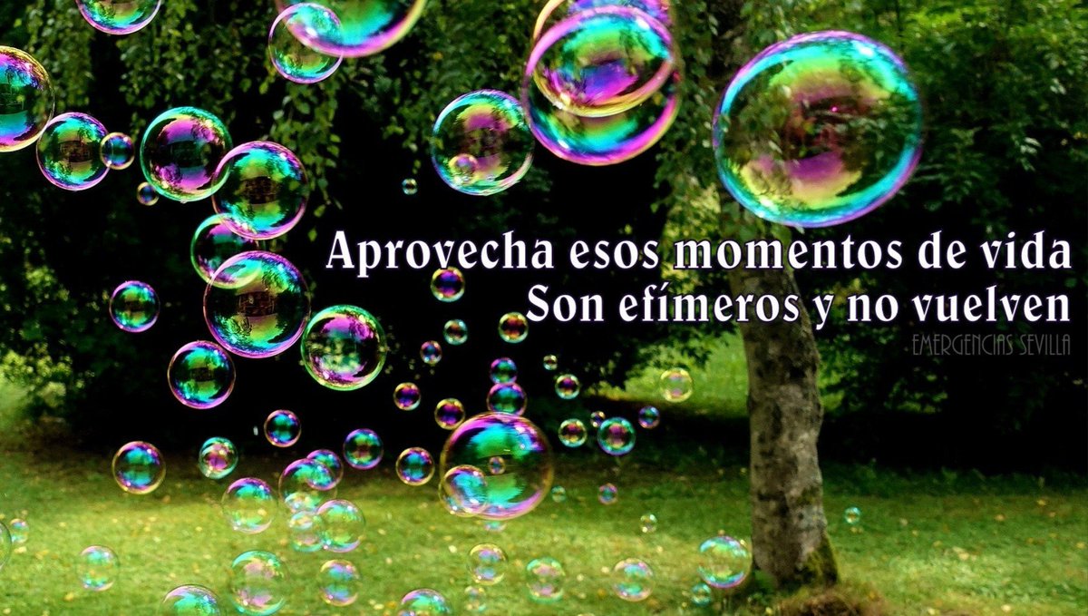 150 Pensamientos Positivos Cortos para Reflexionar, image size:1200x679