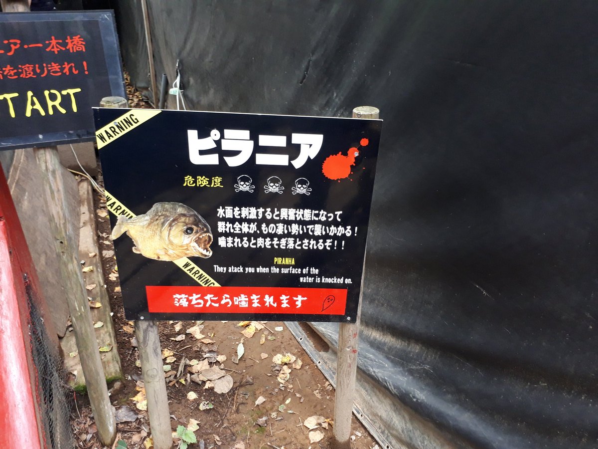 るっち モフモフおちり No Twitter 次 ピラニア アマゾンの肉食魚 そしてここも足場が平行棒並の細さっっ 下にはピラニアがうようよいます るっち モフモフおちり No Twitter 次 ピラニア アマゾンの肉食魚 そしてここも足場が平行棒並の細さっっ 下にはピラニアがうようよいます