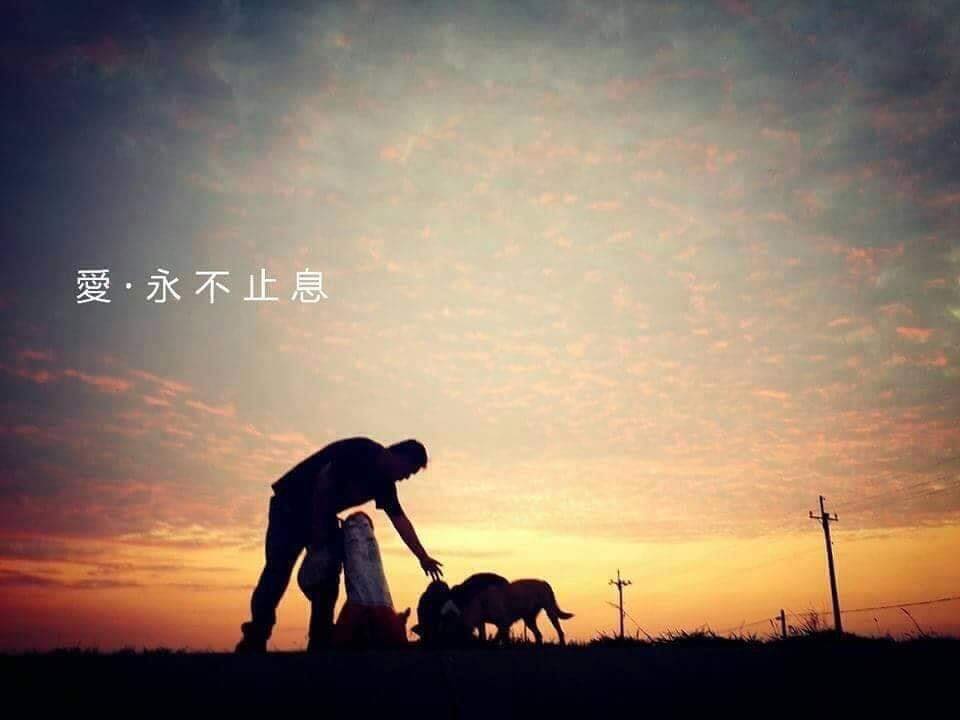 StandByUknow's tweet photo. ★ 0907 TVXQ! CIRCLE #with YUNHO Party in Taiwan ★

🍓 応援パーティー 5 : 「ユノを通してこの世界の美を発見しましょう」
★ 数量限定：2000枚 
★ Q：どうやったら獲得できますか？
Ａ：10元コイン (NTD) 2個または台湾のレシート

#StandbyUKnow https://t.co/R1Pyh0UU5n