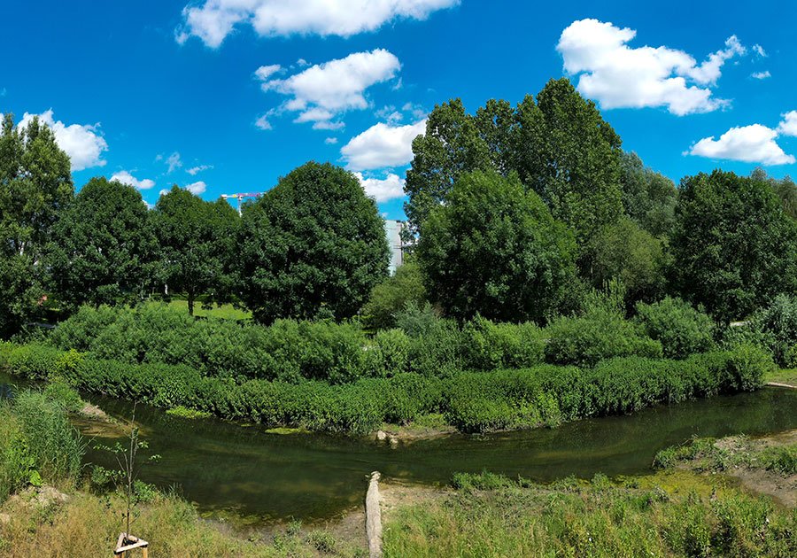 Das Projekt "Münstersche Aa" hat von der @dwa_ev den #Gewässerentwicklungspreis erhalten! 🏆 Besonders wurden die Gewässerexperten der Stadt Münster für die gute Integration der Regenwasserbewirtschaftung gelobt. 🌾💧

➡️de.dwa.de/de/presseinfor…

📷Presseamt Münster