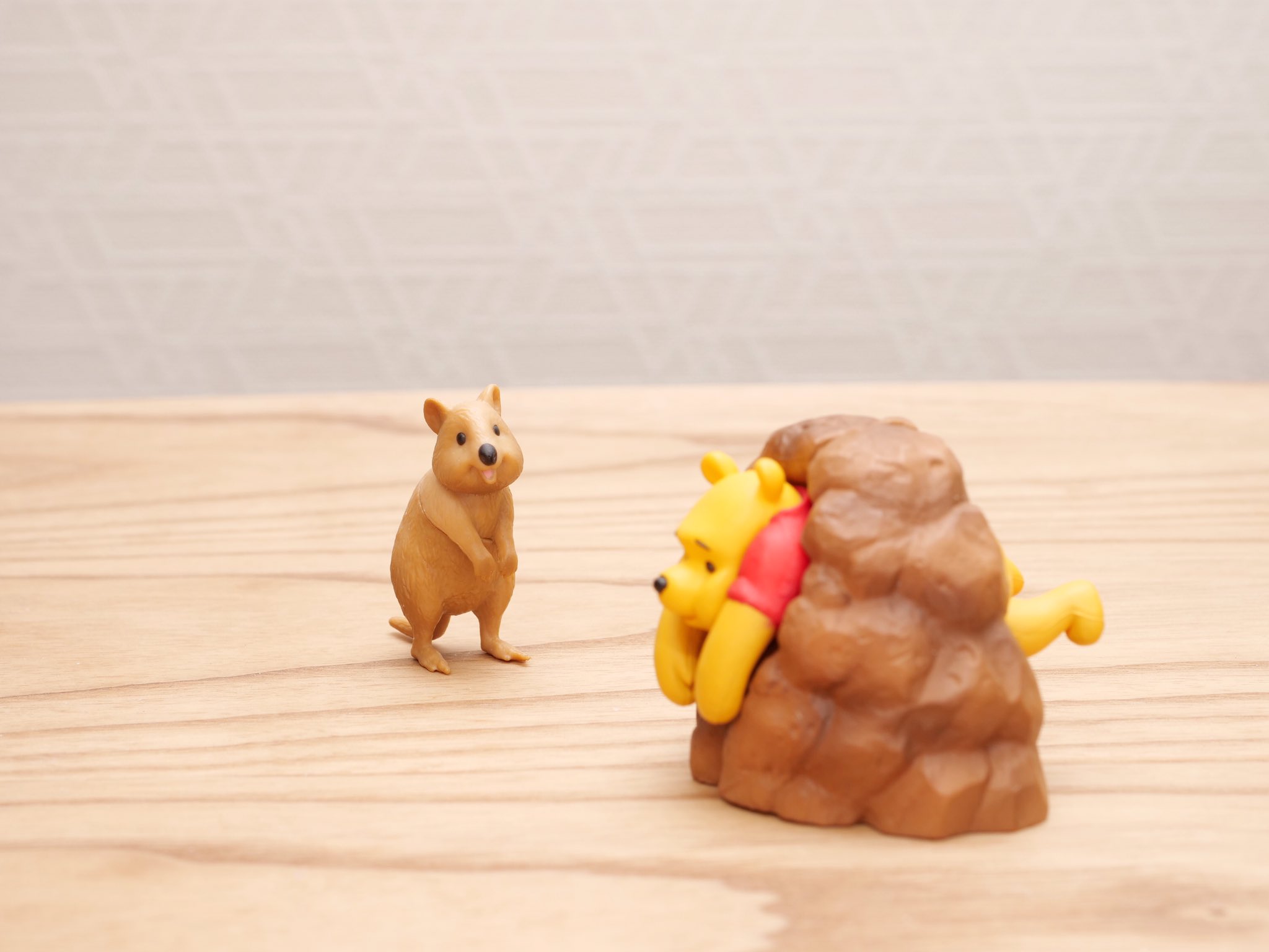 えだま 世界一幸せな動物といわれるクアッカワラビーは他人の不幸がだーいすき