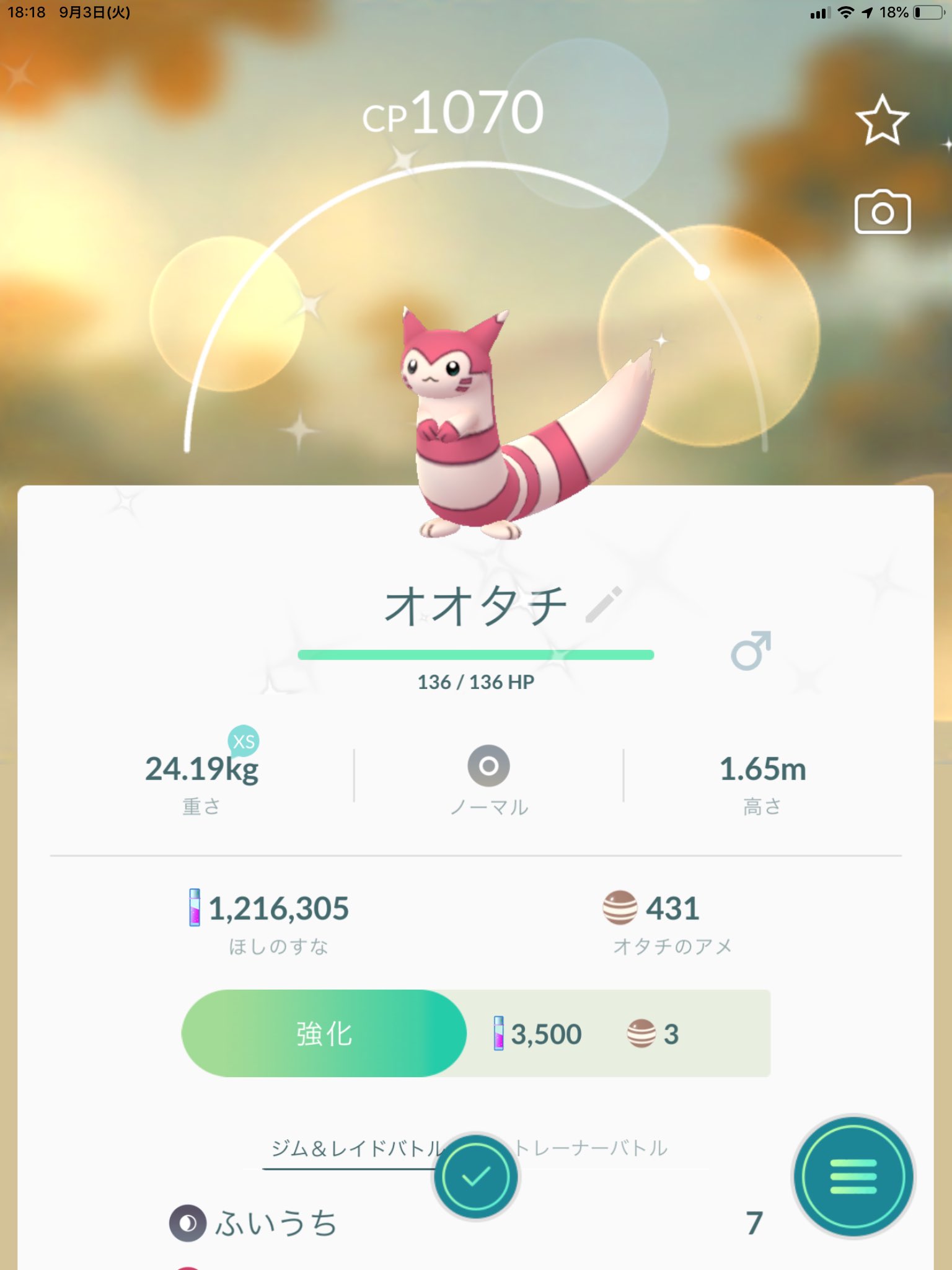 いまい オタチ色違いでた オオタチにしたら可愛い ポケモンgo T Co Xre8tcfech Twitter