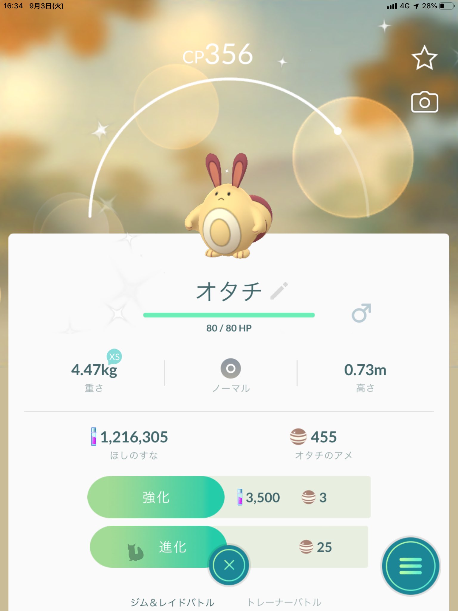 いまい オタチ色違いでた オオタチにしたら可愛い ポケモンgo T Co Xre8tcfech Twitter