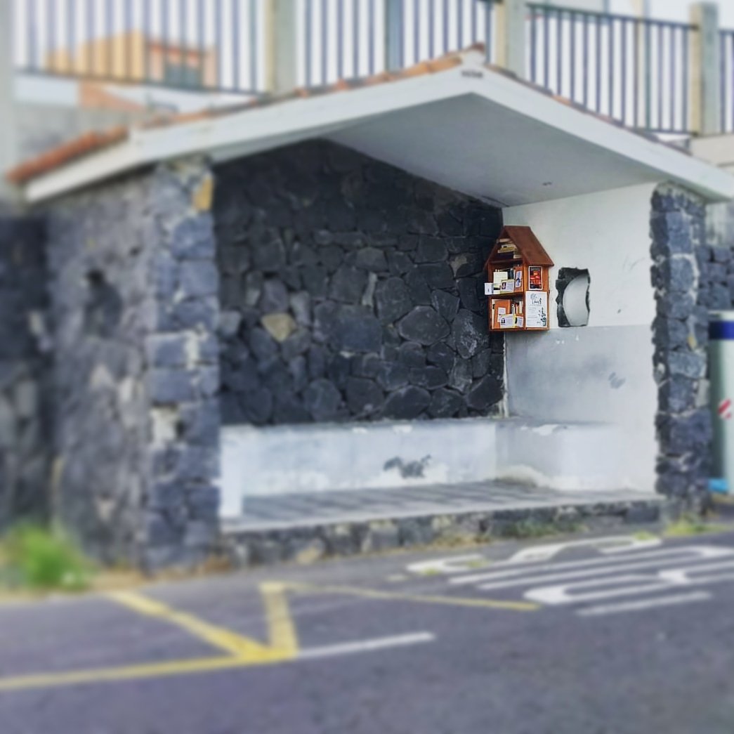BiblioMCruz's tweet photo. #CulturaElRosario ℹ🌳 Cargada de nuevas lecturas dejan las compañeras de Cultura la #Minibiblioteca de Machado para ti. #ElRosario #LittleFreeLibrary #BookHouse #BookLove #BookCrossing #Tenerife #BookFree #BookExchange #BooksLove https://t.co/XK3uov0UpC
