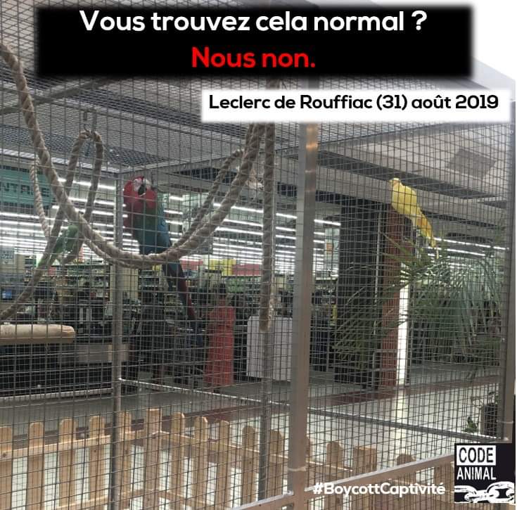 Code Animal On Twitter Indignation Httpstco