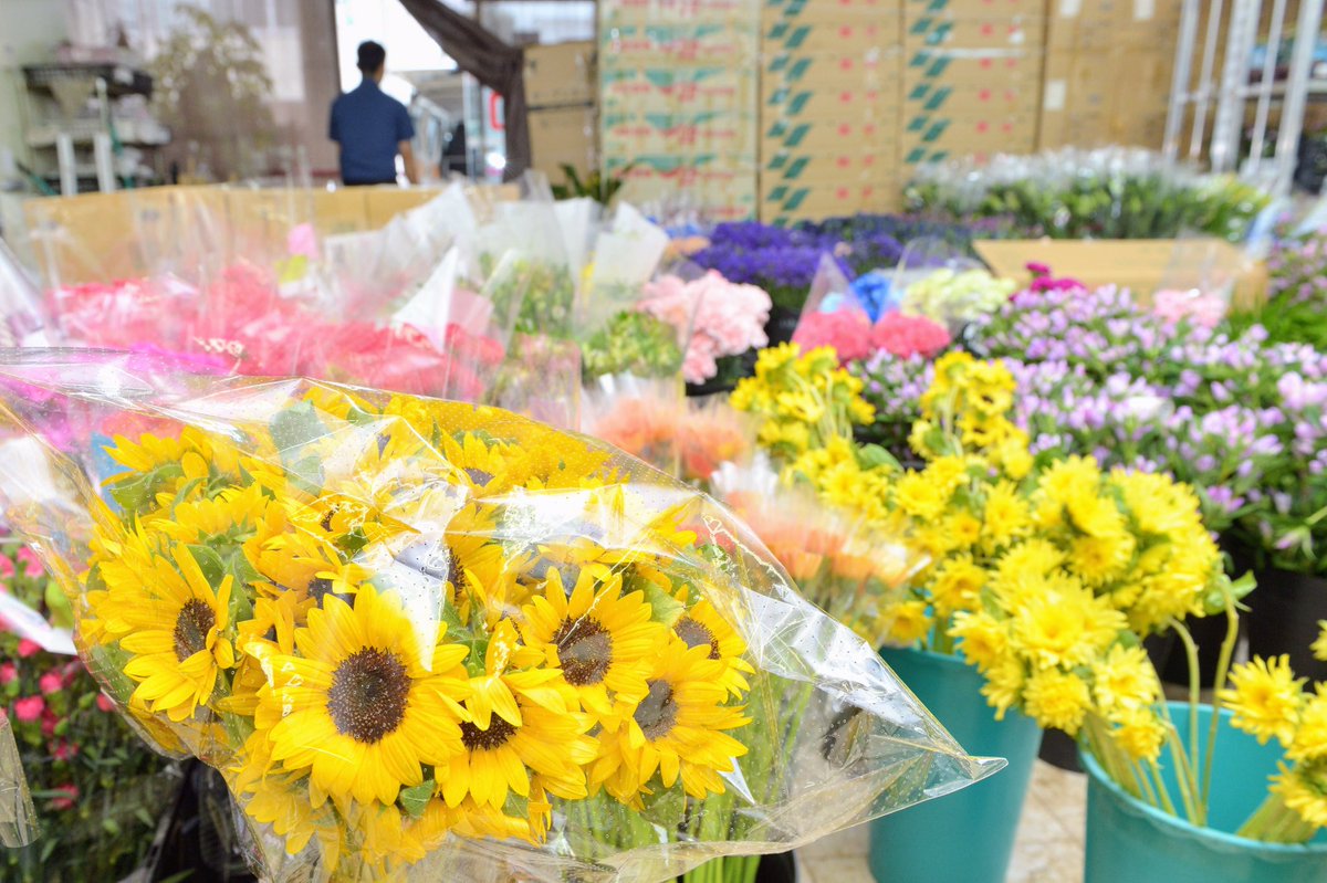 いわい生花 通年出回る定番の花に混じって 人気のひまわりが入荷してきました 季節を超えて楽しめるなんて 育てる技術がすごいですね 花 Flower いわい生花 ロマンチックかすみ草 かすみ草 Flowermarket 花屋 生花店 お 花屋さん T Co いわい生花 通年出回る定番の花に混じって 人気のひまわりが入荷してきました 季節を超えて楽しめるなんて 育てる技術がすごいですね 花 Flower いわい生花 ロマンチックかすみ草 かすみ草 Flowermarket 花屋 生花店 お 花屋さん T Co