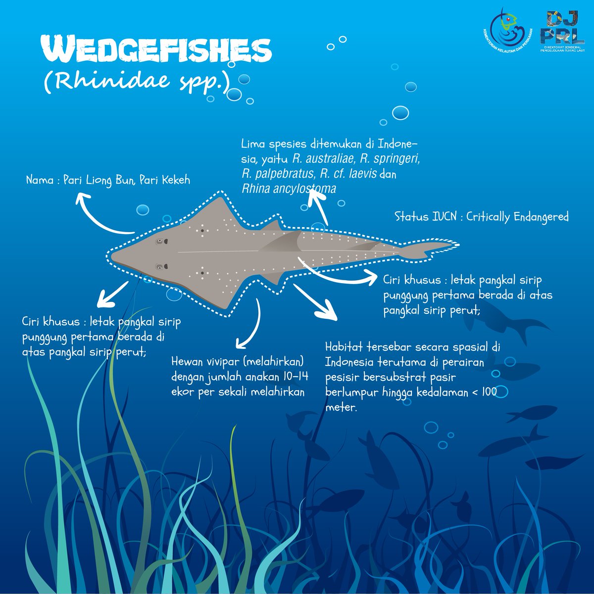 Hai #SahabatBahari

Pada COP Ke-18 di Geneva (Switzerland), CITES telah memasukan beberapa jenis hiu dan par kedalam apendiks II

Apa saja jenis hiu dan parinya? Yuk cek infografis berikut

<a href="/susipudjiastuti/">Susi Pudjiastuti</a>
<a href="/kkpgoid/">KKP RI</a>
<a href="/satyamurti/">Brahmantya S. Poerwadi</a>
