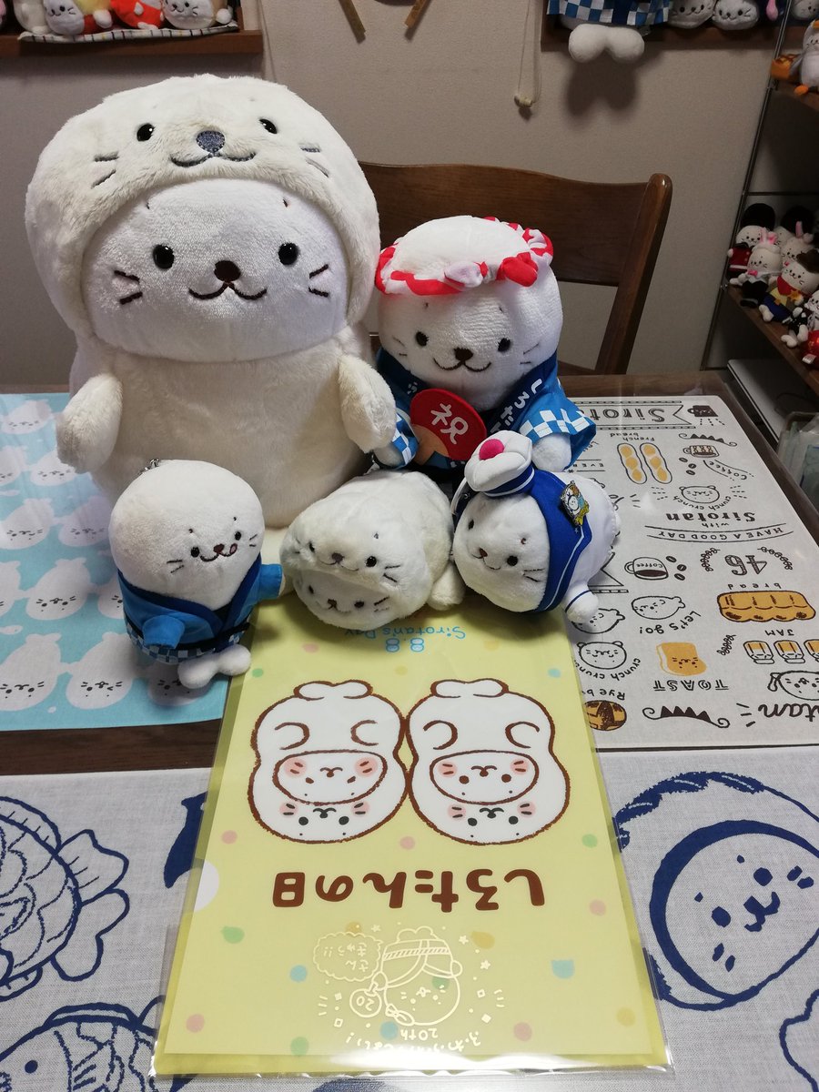 Uzivatel どん Na Twitteru しろたんの日 しろたん手書きイラスト入りクリアーファイル届きました Sirotan Funさん ありがとうございます とてもうれしい です