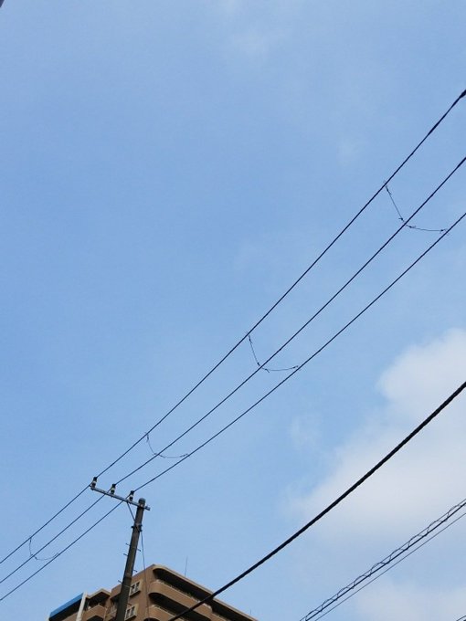 晴れたやん千葉 