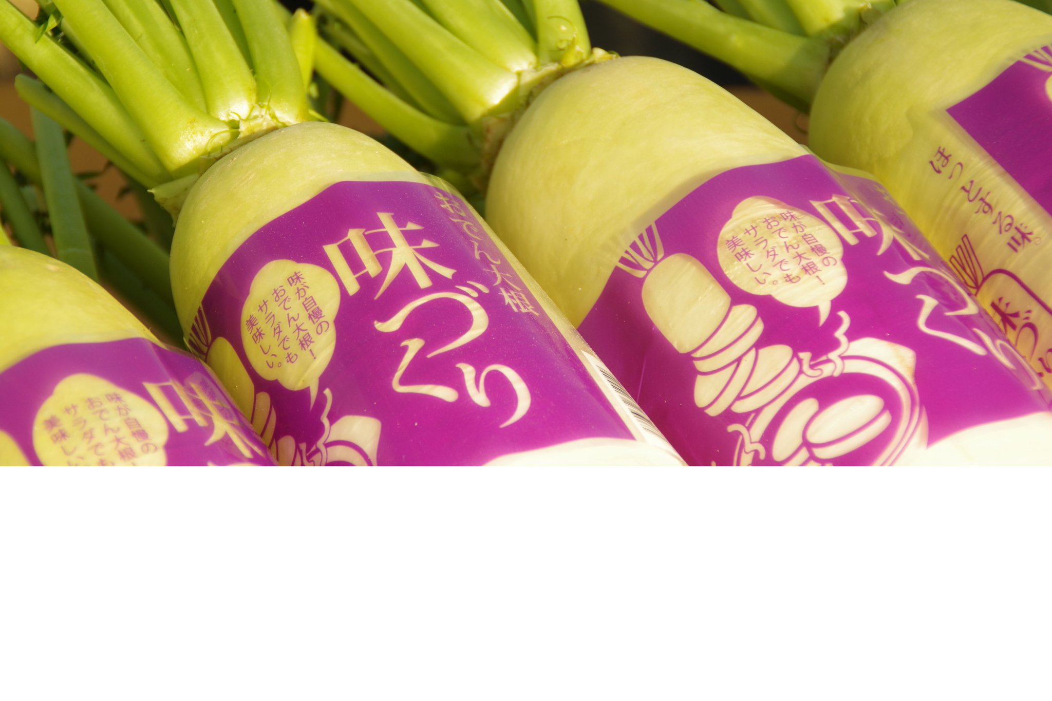 丸種株式会社 毎年ご好評いただいております弊社大根品種 Yr味づくり は緻密で滑らかな食感 だし汁を思いっきり吸い込むやわらかな肉質 やわらかさと煮崩れしにくさを併せ持つ まさにおでん になるために生まれてきたような食味抜群の 丸種株式会社 毎年ご好評いただいております弊社大根品種 Yr味づくり は緻密で滑らかな食感 だし汁を思いっきり吸い込むやわらかな肉質 やわらかさと煮崩れしにくさを併せ持つ まさにおでん になるために生まれてきたような食味抜群の