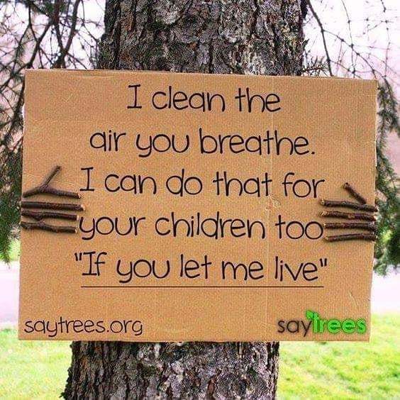 itsenufapp's tweet photo. Don't ignore.. don't say " Apne baap ka Kya jaata hai " kyunki agar aaj kuch nahin kiya toh baap ka toh pata nahin... Apne baccho ka zaroor jayega'. #itsenuf #itstimeforachange #forabettertomorrow #savethetrees🌲 #saveourplanet #saveourworld #environmentabuse #trees #globalwa… https://t.co/bf1PRhYKlR