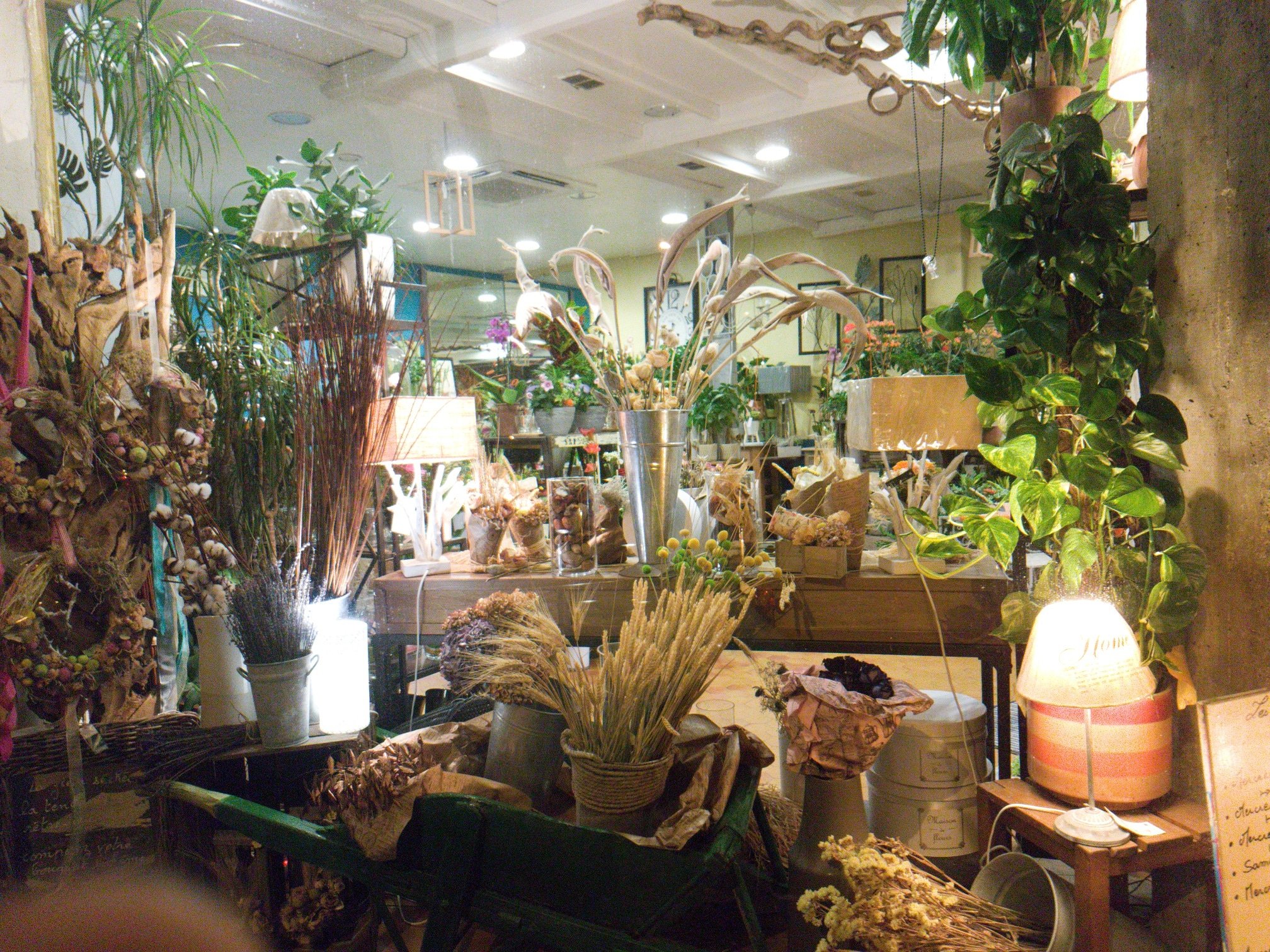 He Fleur Et Moi Twitterissa Retour Du Retro Chic Chez He Fleur Et Moi Fleuriste De Valenciennes Une Vitrine De Fleurs Sechees Compositions Bouquets Boheme Suivant Vos Envies Hefleuretmoi Fleuriste Valenciennes