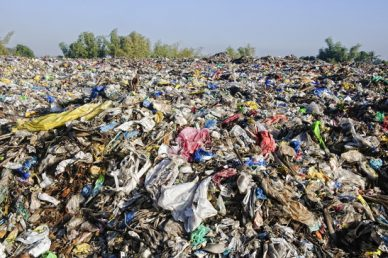 "More than one million birds and 100,000 marine mammals and sea turtles die each year throughout the world after either becoming entangled in or eating plastic materials found in the sea." lttr.ai/HUc7 #Tampon #plasticfree #Plastic #eco