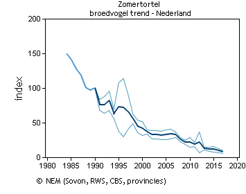 Hoe we in Europa onze eigen trekduif (Ectopistes migratorius), de door de mens uitgeroeide duivensoort in N-Amerika, aan het creëren zijn. 30 jaar geleden nog algemeen, deze zomer zag ik er nog 2.
Ook jagers van bij ons gaan vrolijk mee jagen in Frankrijk.
Ik ben hier kapot van.