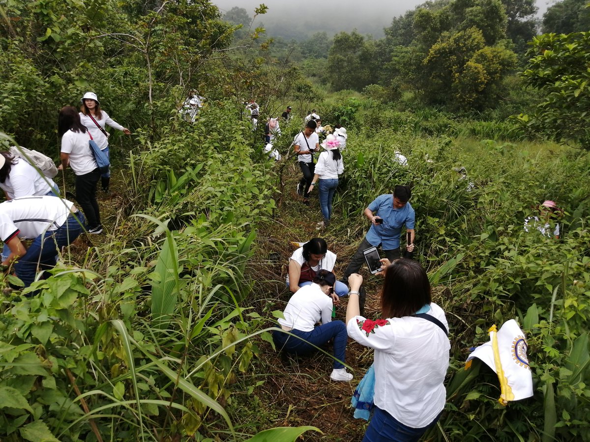 gpf_philippines's tweet photo. "PANGALAGAAN ANG KALIKASAN, MAGTANIM PARA SA BAYAN"
GPW and IWCPI District 380's tree-planting activity at Antipolo, Rizal last August 21, 2019.
#GPFPh #GPWPh #Peacebuilding #GlobalPeace
Read more at https://t.co/1xFYQH0XTW https://t.co/vaiSotCKVW