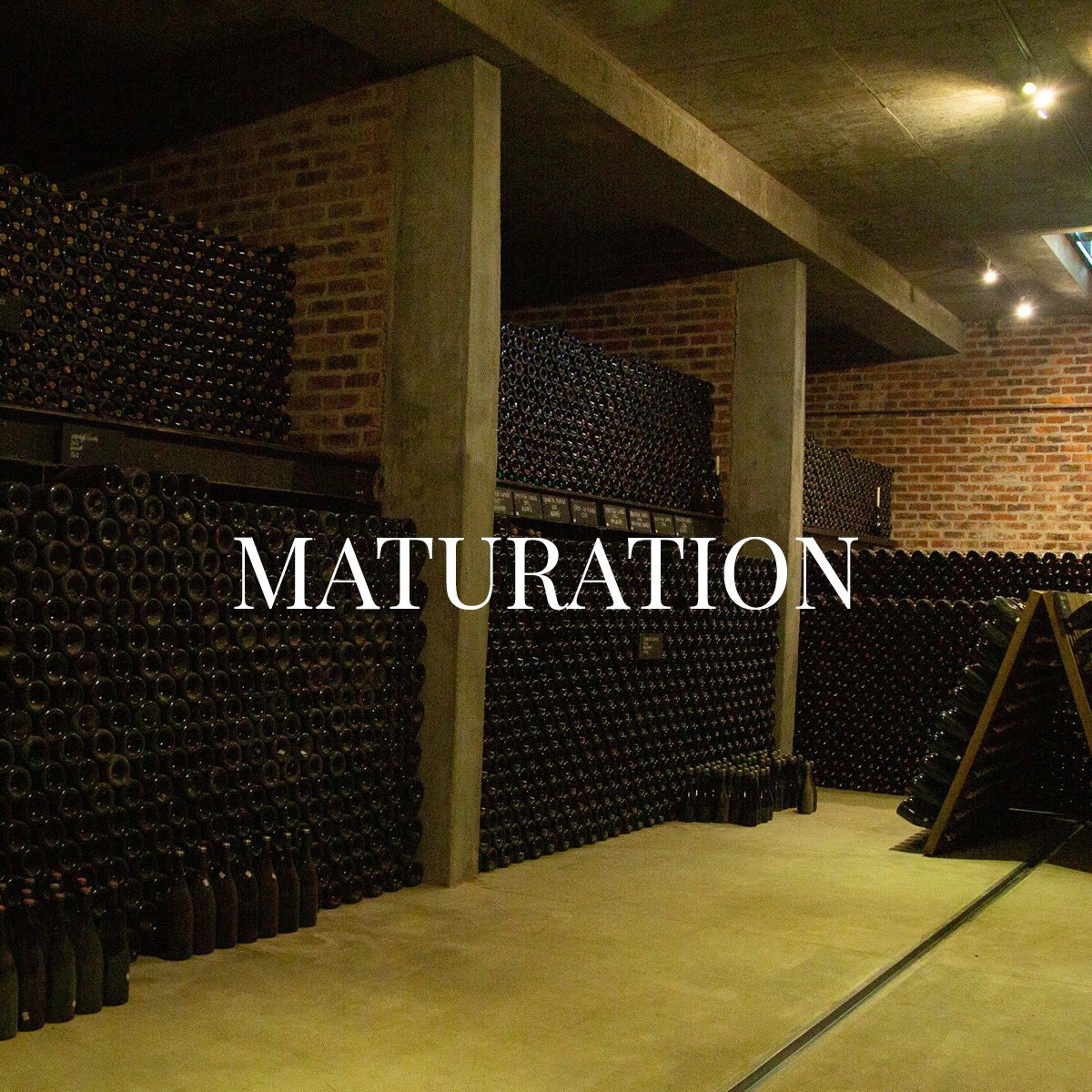 Maturation plays a critical role in producing an elegant MCC, by developing the character of the
wine during the aging process. Le Lude wines are matured for a minimum of 30 months.
#TasteLeLude #MCC #Franschhoek