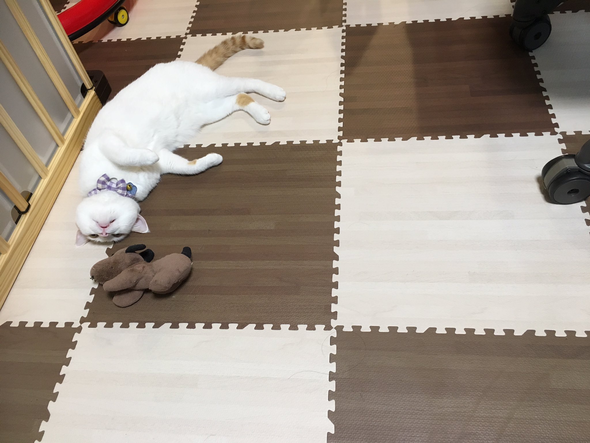 むぎとふく ジョイントマットに擬態する猫と犬 T Co Icvrot0huk Twitter