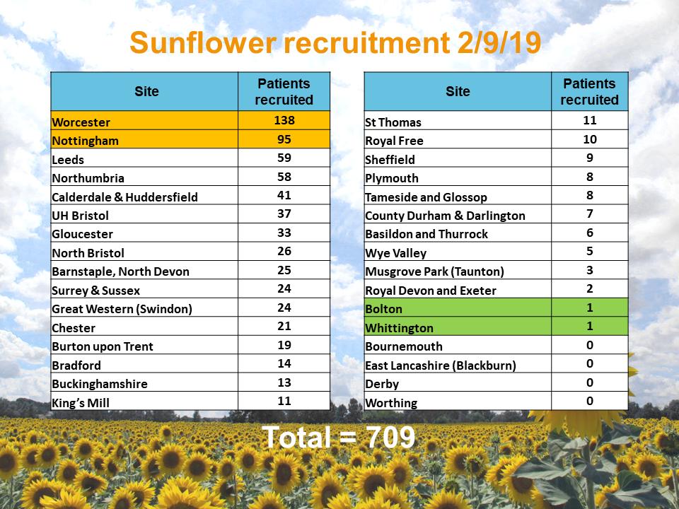 The Sunflower Study tweet media