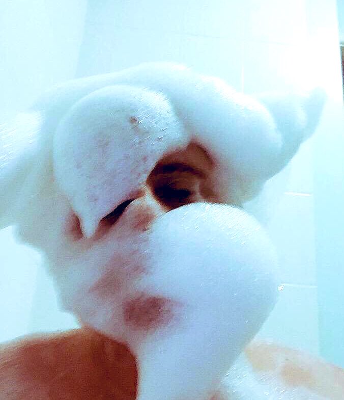 crazycatgay02's tweet photo. Think I used 2 many bubbles #bubblemonster #gay #fool https://t.co/2hZdGOlbgC