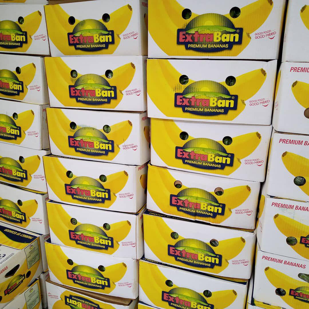 #صادرات #واردات #موز #موز_سبز #سرخانه #میوه  #تهران #مشهد #اصفهان #کرج #شیراز #تبریز #اهواز #قم #کرمانشاه  #رشت #شهریار #کرمان #بندرعباس #همدان #زاهدان #یزد #اردبیل #قزوین #اراک #اسلامشهر #بهارستان #بابل #زنجان #خرم‌آباد #ساری #سنندج #گرگان #بروجرد #نیشابور #دزفول #کاشان