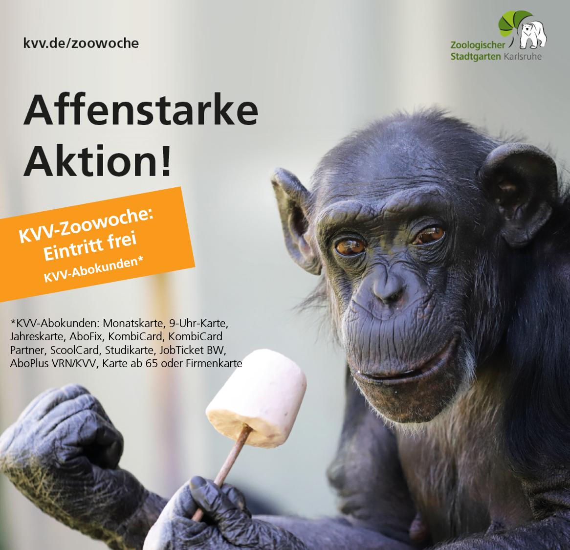 Kvv Bewegt Alle Nachster Halt Zoo Eintritt Frei Vom 9 15 September Konnen Kvv Abokunden Kostenlos Den Zoologischen Stadtgarten Karslruhe Besuchen Einfach Karte Am Eingang Vorzeigen Und Los
