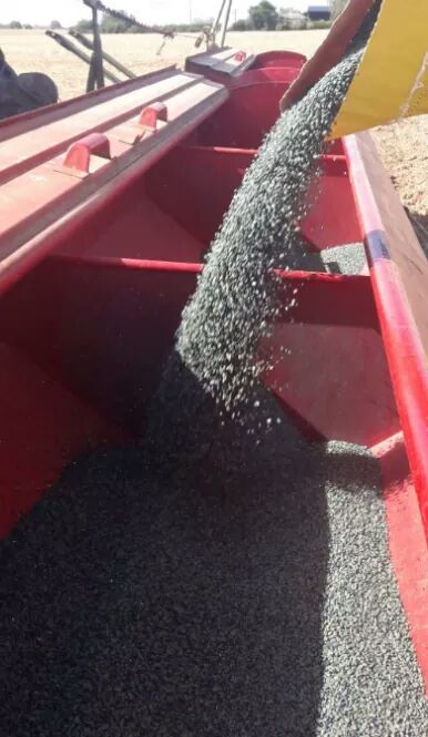 Semences de France tweet media