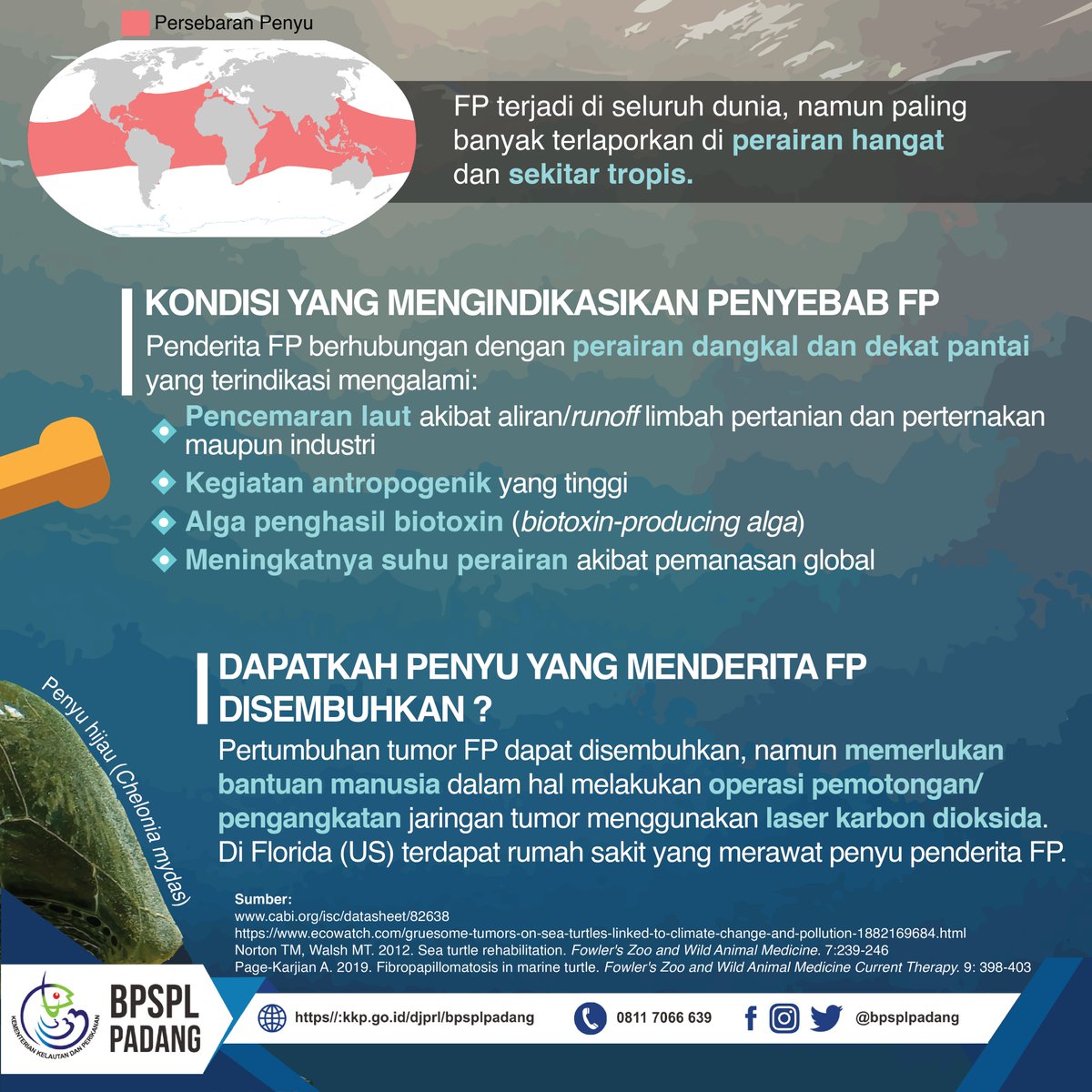 #SahabatBahari ternyata biota2 d laut jg bs sakit kaya kt. contohny Fibropapillomatosis (FP), brp tumor yg sering menyerang #penyu dan dpt menyebabkan kematian😭Eh eh ternyata slh 1 penyebab FP ini @ polusi lautan &amp; efek pemanasan global😲Yuk Jaga Laut😉

<a href="/satyamurti/">Brahmantya S. Poerwadi</a> <a href="/HeryGDaulay/">Hery Daulay</a>