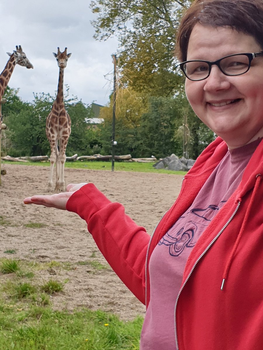 SardibS's tweet image. Loved holding the miniature giraffes yesterday 😂🦒 🦒  Fab day as usual @chesterzoo #lightweightgiraffes #easyworkout