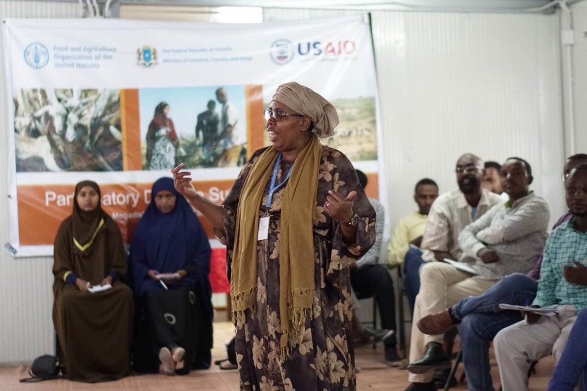 FAOSomalia's tweet photo. Disease Surveillance Training by @FAO🇺🇳
#Mogadishu 2-11 September 
funded by @USAIDSomalia🇺🇸
w/support of @MoLFR_Somalia🇸🇴 

64 Gov't staff&amp;livestock professionals to improve knowledge&amp;skills in participatory approaches for better surveillance of transboundary #animaldiseases. https://t.co/a6sio40xwm