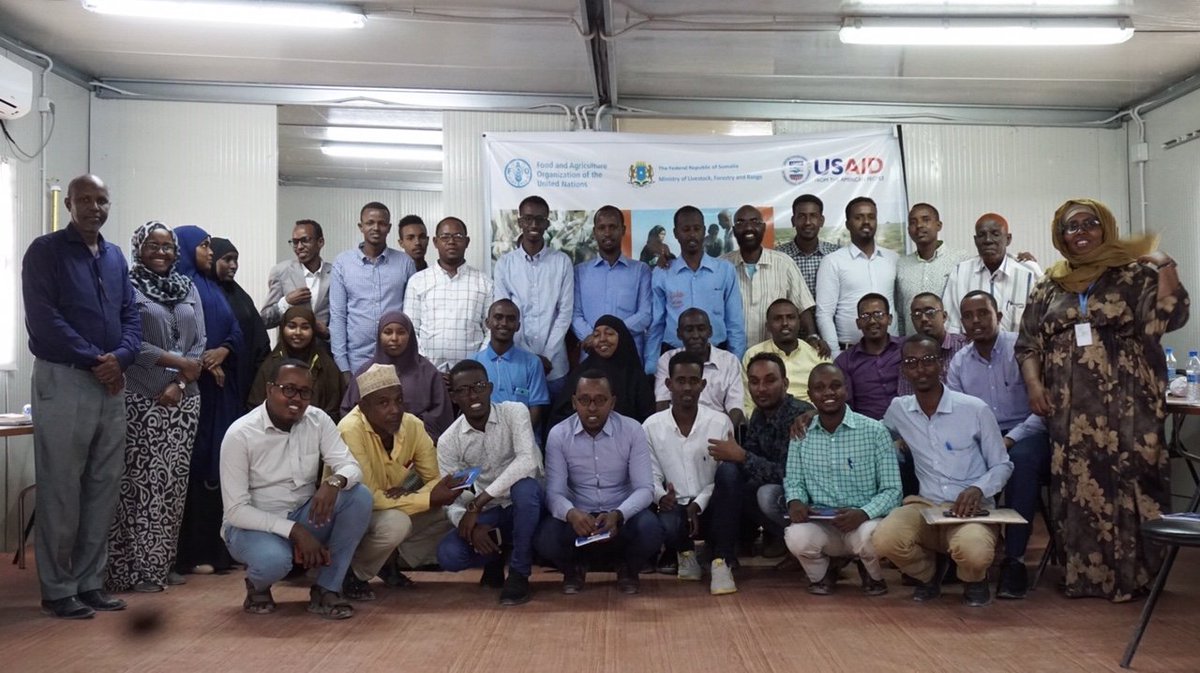 FAOSomalia's tweet photo. Disease Surveillance Training by @FAO🇺🇳
#Mogadishu 2-11 September 
funded by @USAIDSomalia🇺🇸
w/support of @MoLFR_Somalia🇸🇴 

64 Gov't staff&amp;livestock professionals to improve knowledge&amp;skills in participatory approaches for better surveillance of transboundary #animaldiseases. https://t.co/a6sio40xwm