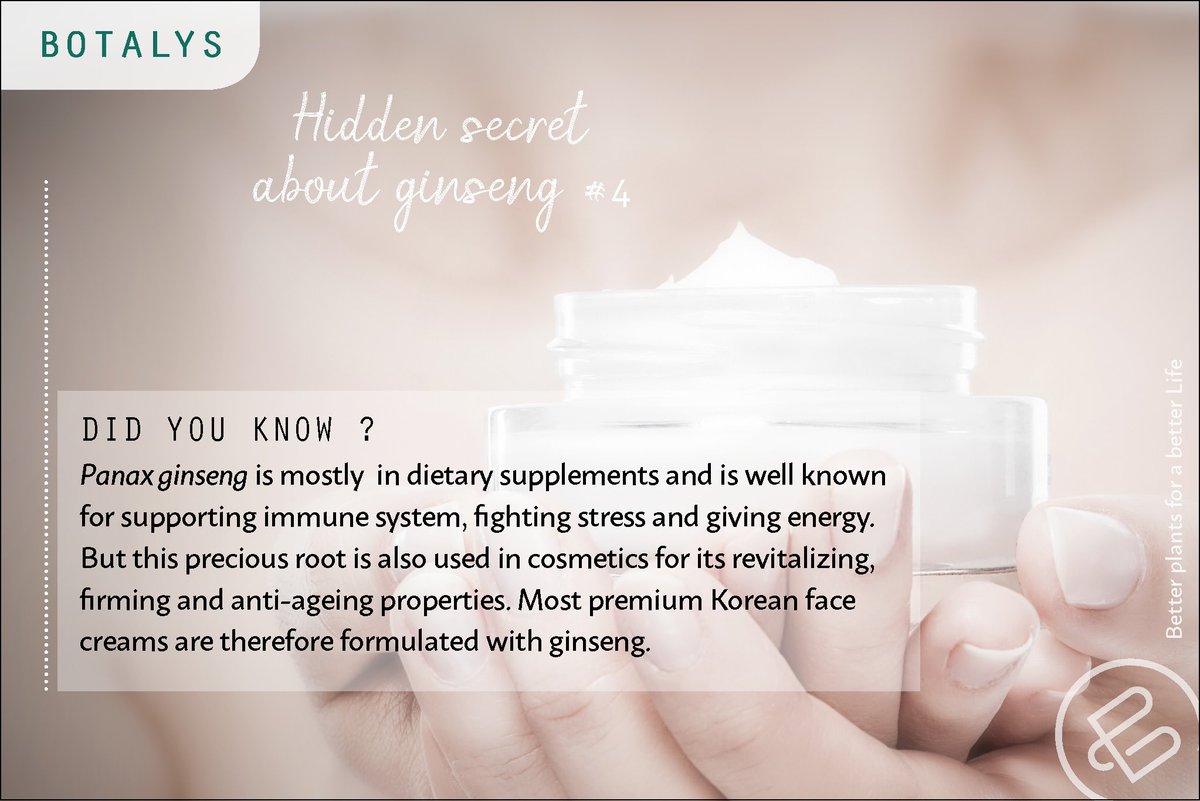 Hidden secret about ginseng #4. This one is for you Ladies✨ #ginseng #naturalingredients #botanicals #naturalbeauty #herbalmedicine