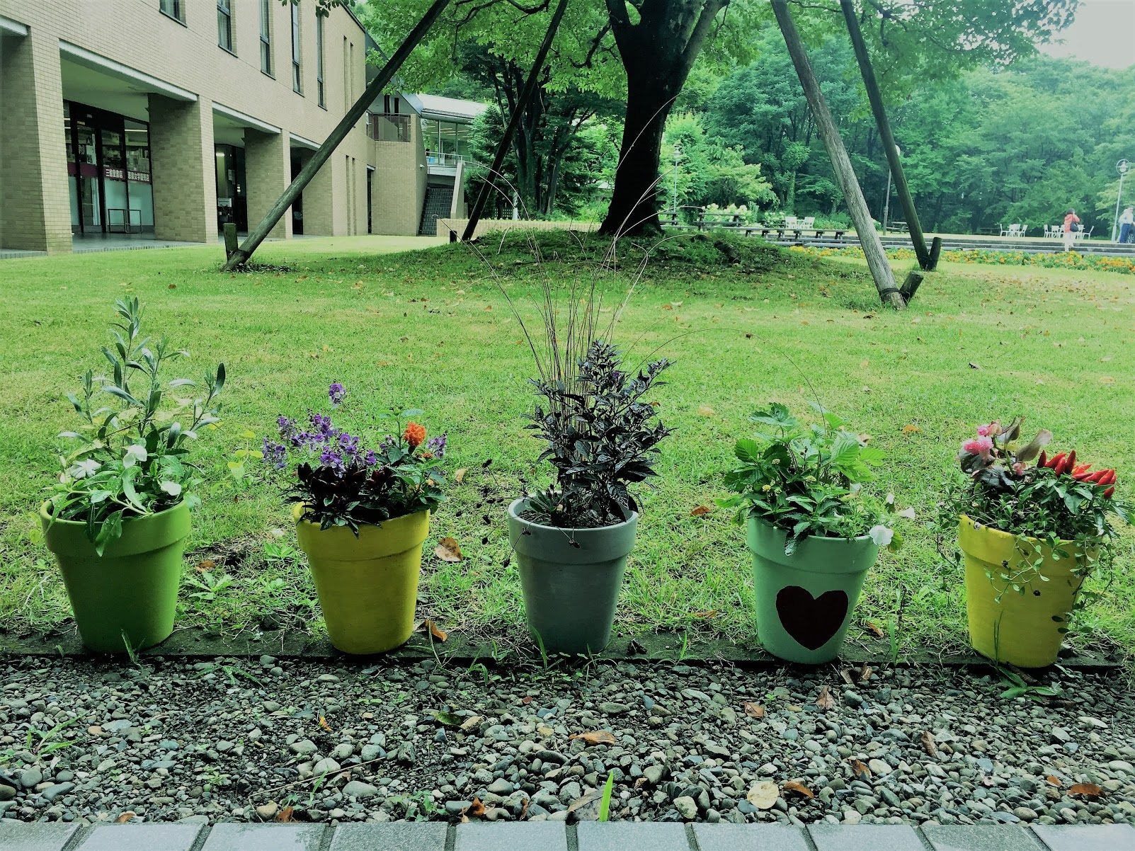 恵泉女学園大学 白を基調とした清楚感のある 恵泉 の教室のひとつです 4月にクラブサークル紹介をこの教室で行いました 今では新入生がクラブに加わり どの団体も活発に活動しています 社会園芸学科 T H 恵泉女学園大学 学生授業企画 Keisen 教室