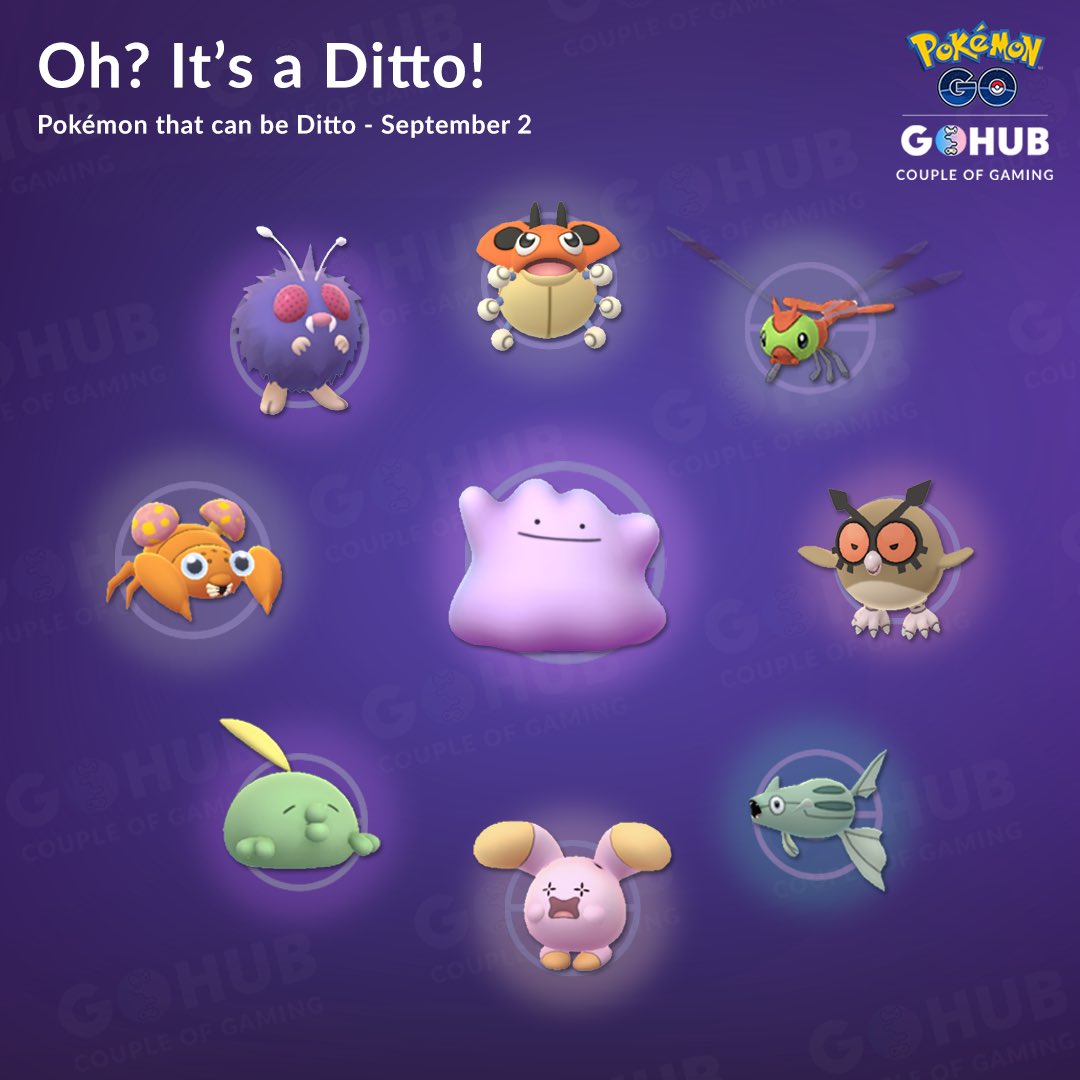 The pokemon ditto in the wild