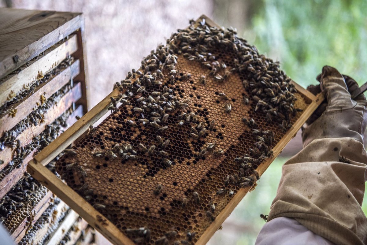 Tijd voor een 𝐃𝐮𝐮𝐫𝐳𝐚𝐚𝐦𝐡𝐞𝐢𝐝𝐬𝐰𝐞𝐞𝐭𝐣𝐞! Wist je dat Sanadome al sinds 2006 in het bezit is van het Europese Ecolabel? De milieukeurcriteria van het Europees Ecolabel hebben betrekking op de hele levenscyclus van een product of de dienst. #duurzamedinsdag #MVO