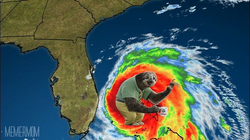 Can this go any slower?!
🤔🌀🐌 #HurricaneDorian 
#HurricaneDorian2019. #hurricandorian #hurrican #flash #dorianhurricane 
#sloth #HurricaneDorianmemes
