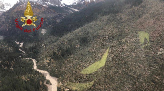 La Commissione Bilancio all'Europarlamento ha dato l'ok ai 277 mln di euro per #Vaia. Mi auguro che il Governo sia in grado di distribuire le risorse sul territorio, ma temo che non sappia nemmeno da che parte è girato. Vietato abbassare la guardia! <a href="/FratellidItaIia/">L’ortografia!</a> vigilerà!