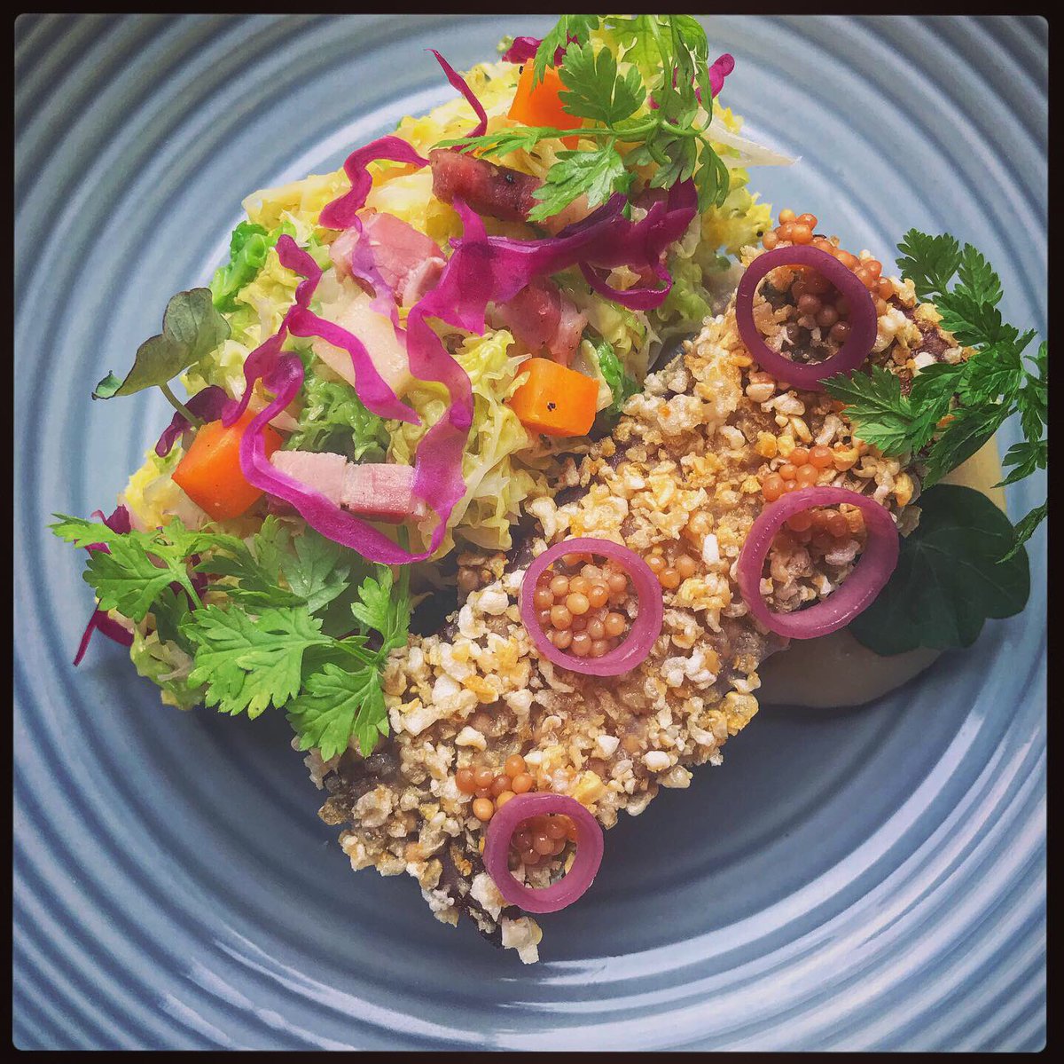 wezwatts's tweet image. Brined and roasted pork belly, koffmann cabbage,Dijon mash,apple and pickled mustard seed sauce.