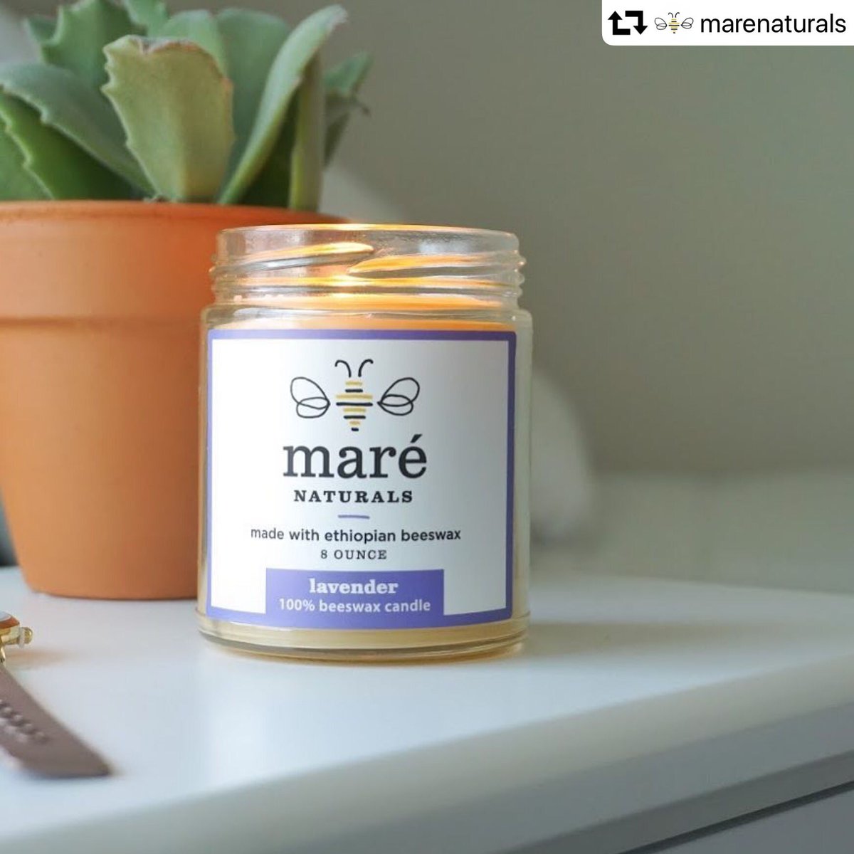 In need of a little sunshine today?  Check out these awesome clean burning candles that will bring you lots and lots of joy! They are free from toxins found in paraffin candles and even purify the air around you! 
Check out one of our awesome clients, <a href="/marenaturals/">maré naturals</a>! 🐝