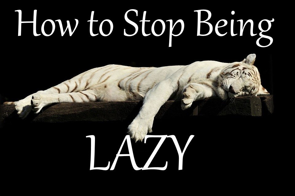 PlanetMaxMag's tweet image. How to Stop Being Lazy – An Effective Way to Fight Laziness mindfulnesscore.com/stop-being-laz… #Howtostopbeinglazy #laziness #Effectivewaytofightlaziness