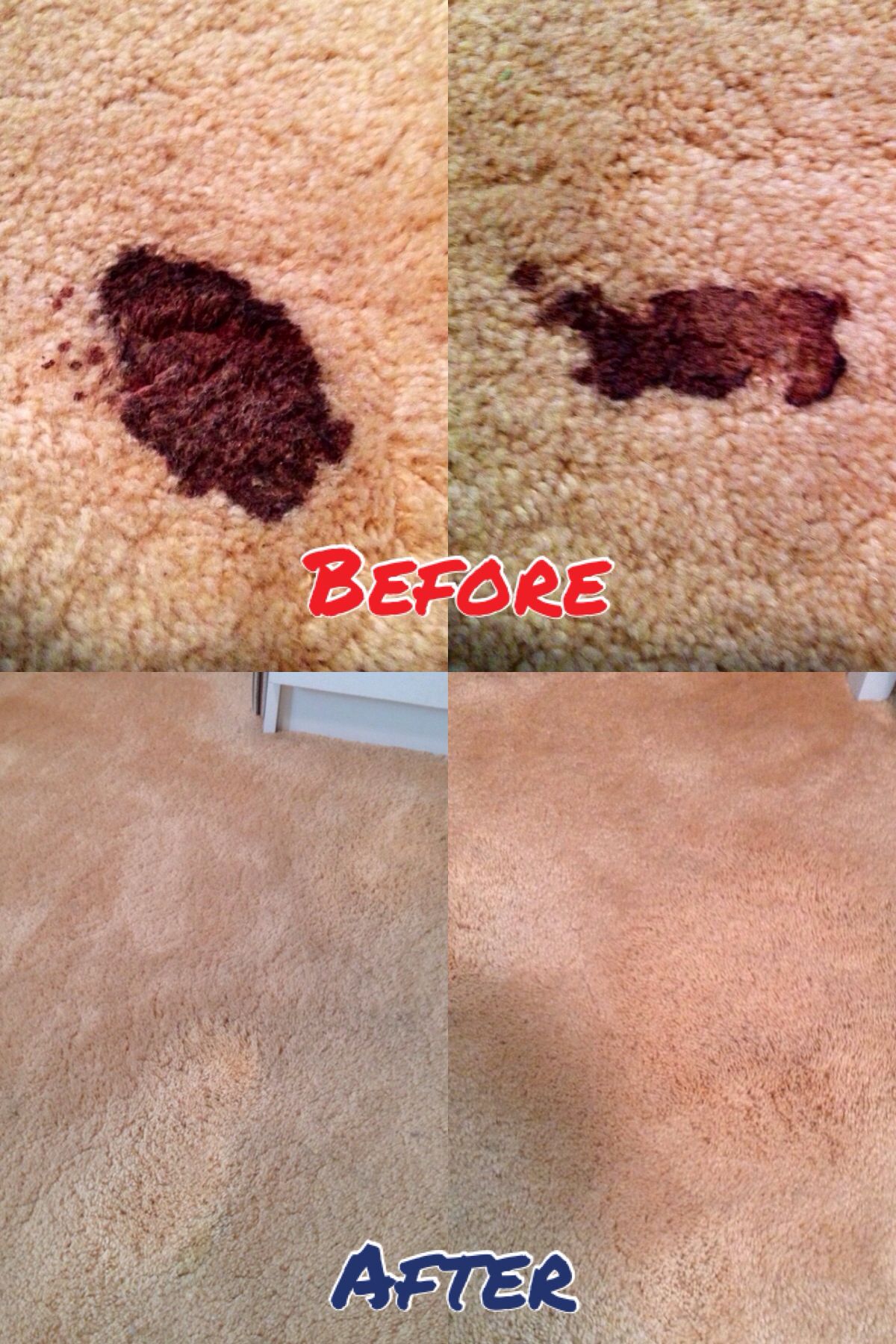 JP Carpet Cleaning on Twitter "Dried blood stains are notoriously
