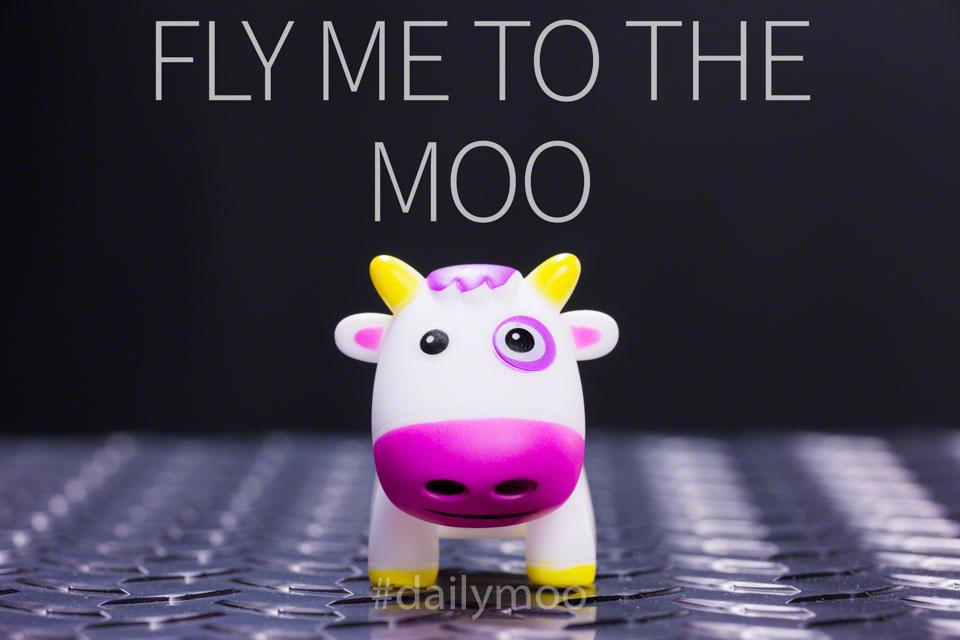 C1Mphoto's tweet photo. Your Daily Moo:
If you like daily moo memes and want to see them, please make sure to retweet them liberally. I#dailymoo #spreadthemoo #mohmoo #moomemes https://t.co/gu3z3Jlavs