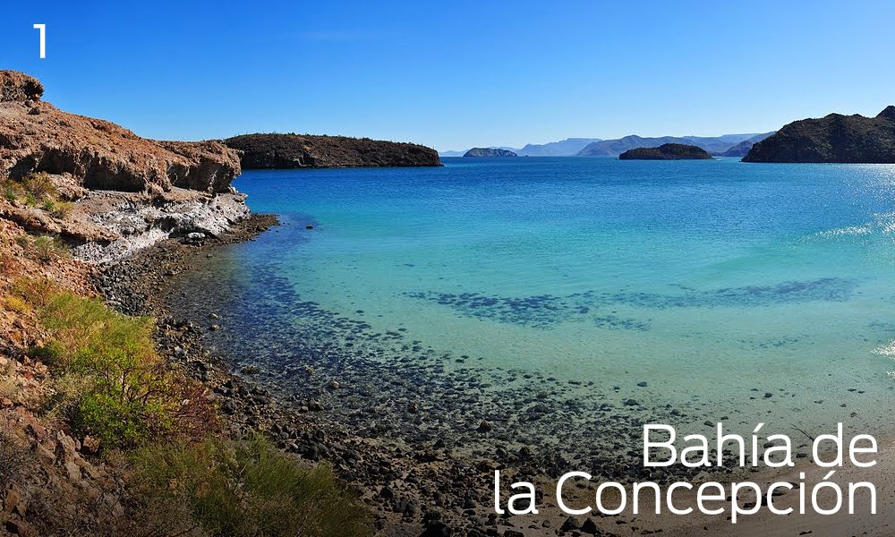 XalapaEnrriquez's tweet photo. It is surrounded by mangroves in one part, by cave paintings in an area, known as El Tordillo and boasts El Requesón beach, which exhibits a rocky hill that becomes an island at high tide.
#mexicoinmyheart 
@vigilanteverde @cobach04 
@jgaedtke1 https://t.co/jXqi1spRlw