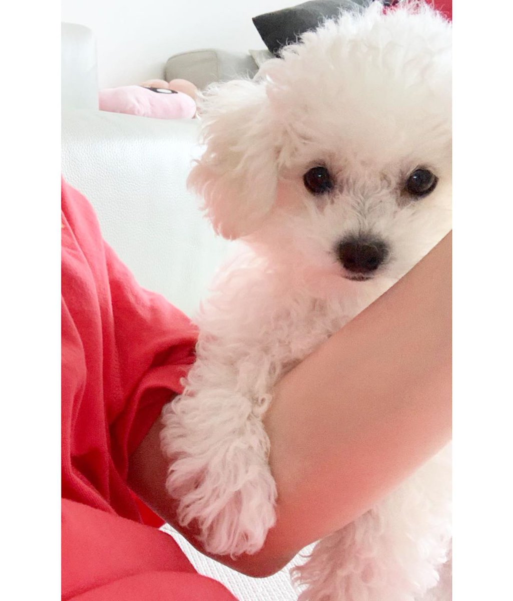 Iimyuna's tweet photo. This cutie says hello. It's been a long time. 🐾 https://t.co/J4dhSa7yln