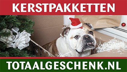 A28StaphorstMedia tweet media