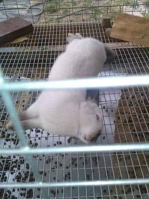 _4fro's tweet photo. Twitter definitivamente es un lugar mágico. https://t.co/VHUankjxn4