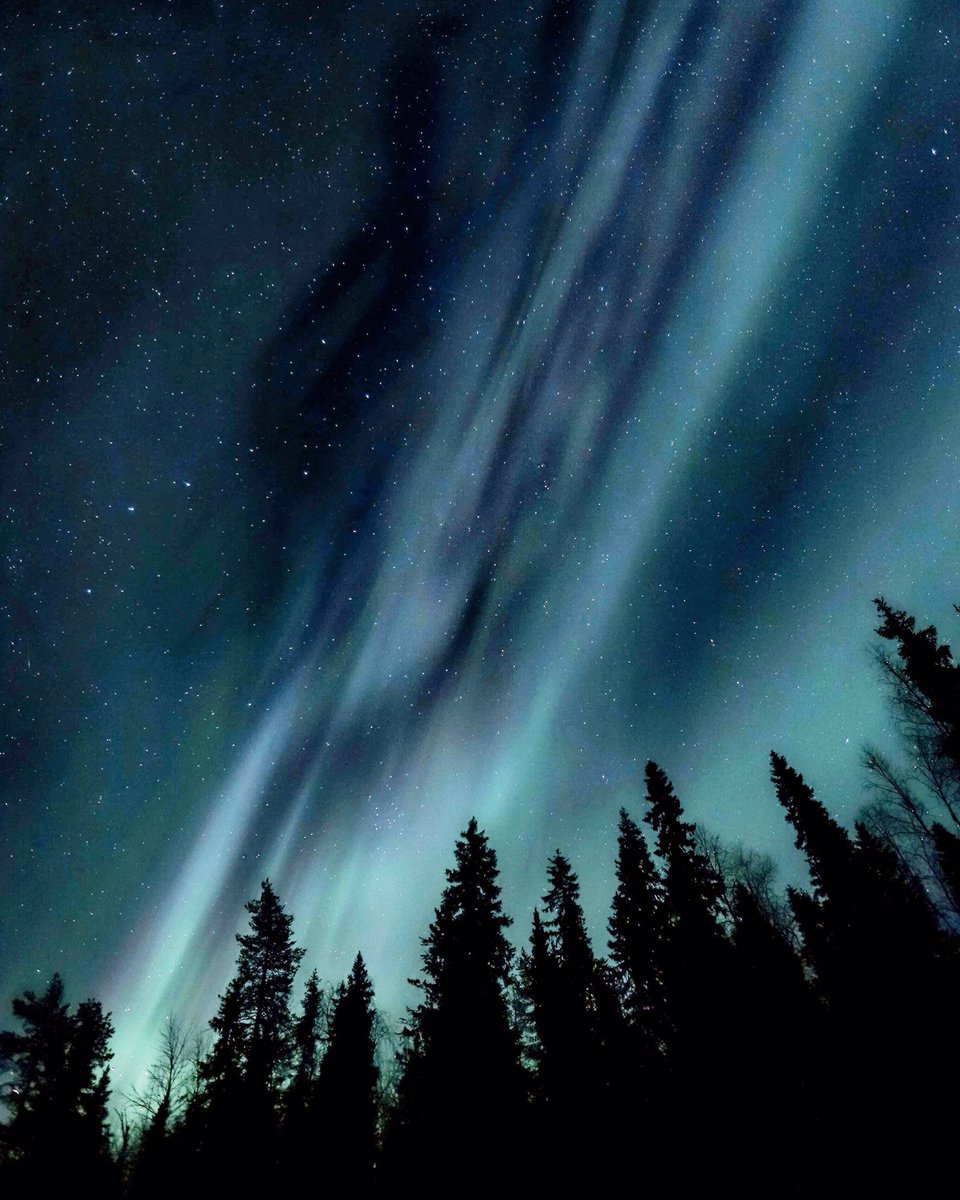 The aurora season is ON! ⭐️🌌💙 We had an amazing display last couple of days here in Rovaniemi and despite the cloudy weather forecast we got to see the first northern lights of the season!! And waiting for more 🤩🎇💚💫.
Photo: <a href="/majkavojtovic/">Mária Vojtovičová</a>