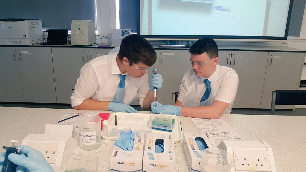 CHS_Science1's tweet image. @gsc1 @CVRinfo @STEMglasgow @UofGlasgow 

Our trainee PCR pupils mastering pipetting.
