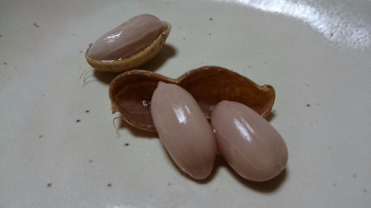 ゆでピー ゆでピー