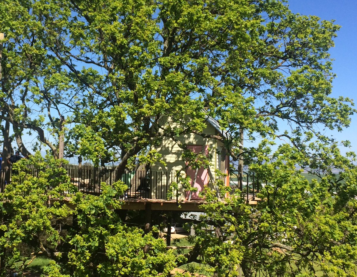 Spring has sprung from the Oak Trees at Goedgedacht Farm.  Hammerkop &amp; weavers in one tree and fantastic new venue 'Tea in a Tree' in the other! 
Book your celebration in our Tree House that can accommodate up to 32 people. 
To send in an enquiry click👉🏾 bit.ly/2lS7R7m