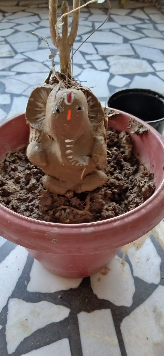 sanchitabhartiy's tweet photo. @RohanBuilders Quite literally that is what going back to my roots these festive season means.
I am sure in the shade of Bappa I will grow wiser ๐
Ganapati bappa morya!
#Contest #contestalert #GanpatiOfTheDay #RohanBuilders https://t.co/8CIEPnjcjj